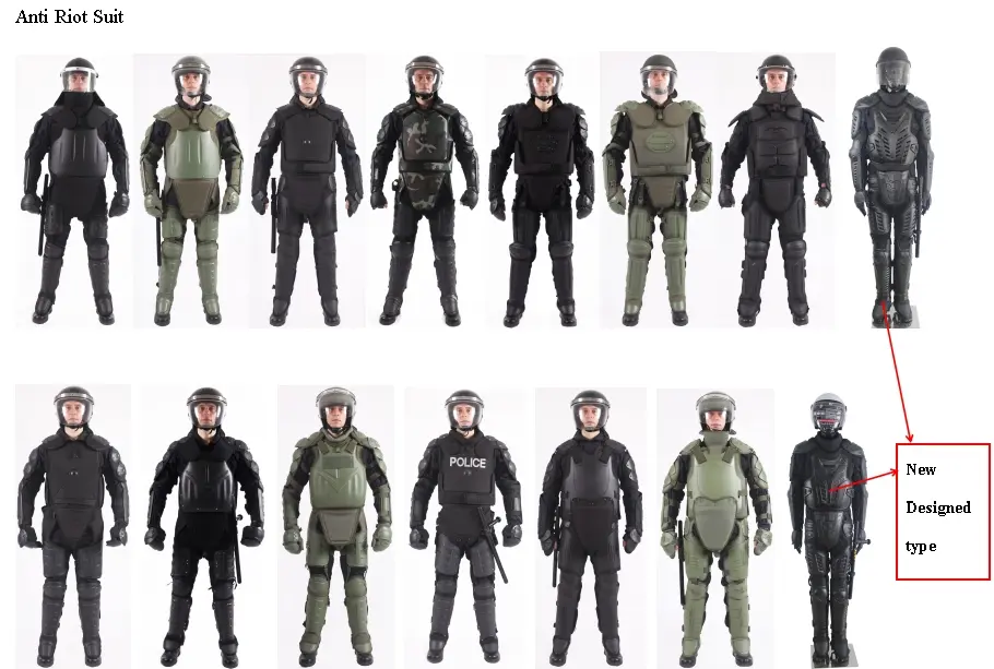 What is anti-riot police?